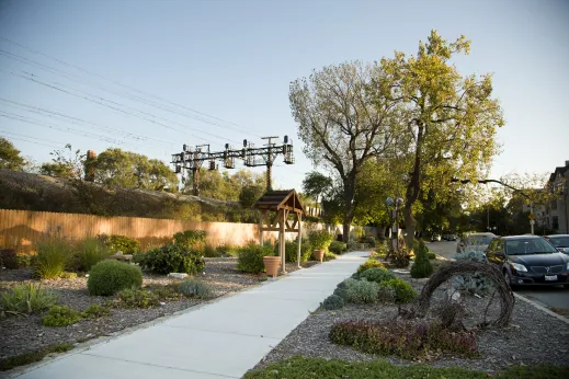 Community garden and sidewalk near apartments in Woodlawn Chicago