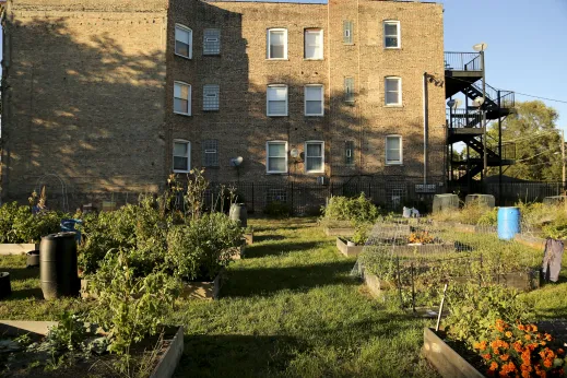 Community garden in lot next to apartments in Washington Park Chicago
