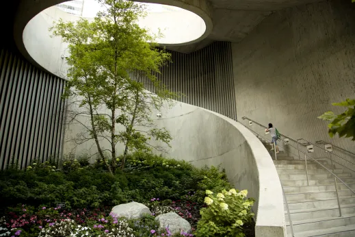 Curving concrete stairwell and garden in Lakeshore East Chicago