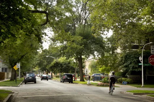 Cyclist riding through intersection on W Berteau Ave in St. Ben's Chicago