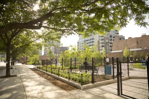 Dog friendly park in the South Loop Chicago