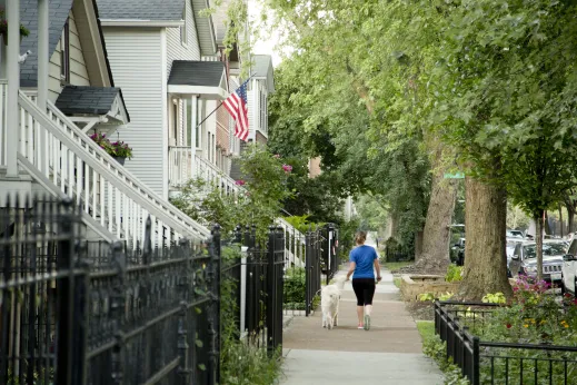 Dog walker on sidewalk on residential street in Hamlin Park Chicago