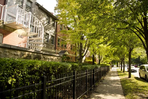 Front lawns of apartments in Douglas Chicago