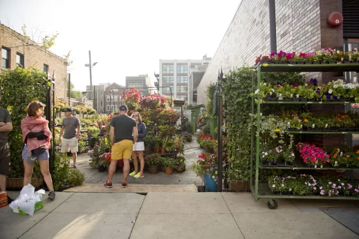 Garden store plant sale in Old Town Chicago