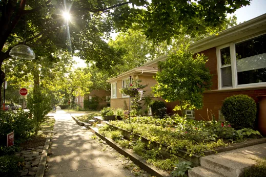 Houses exterior in Budlong Woods Chicago