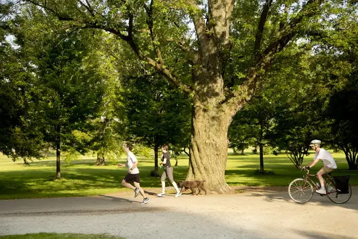 Joggers and cyclist on lakefront path in Lakeview Chicago