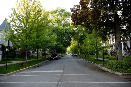Leafy side street and parked cars in Logan Square Chicago