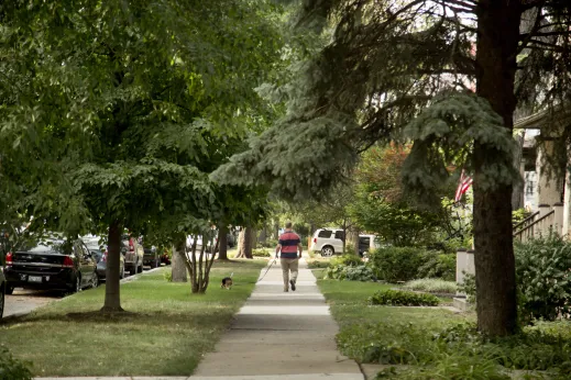Man walking dog on sidewalk on residential street in Irving Park