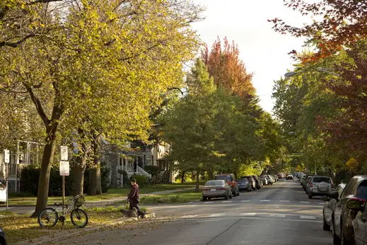 Man walking dog on neighborhood street in Old Irving Park Chicago