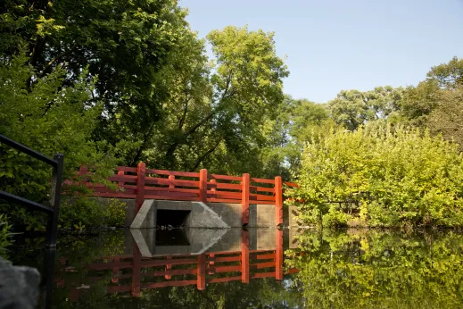 Pedestrian footbridge in park by lagoon in North Mayfair