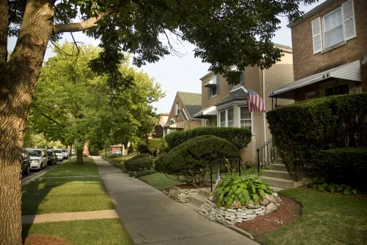 Single family homes and front yards with topiary in Hollywood Park