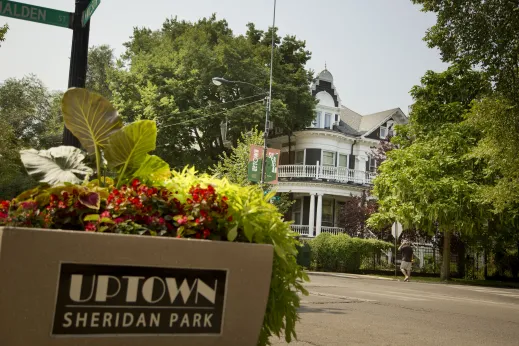 Street corner planter with Uptown Sheridan Park signage