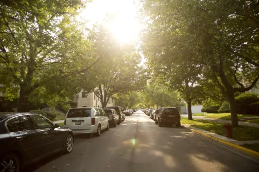 Sunlight shining through trees on one way street with cars parked in Hollywood Park