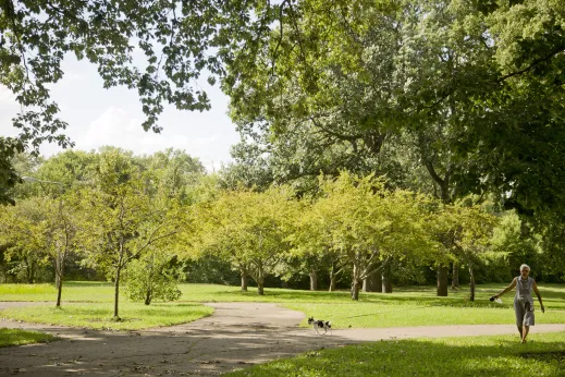 Woman walking dog on North Branch River park in Peterson Woods