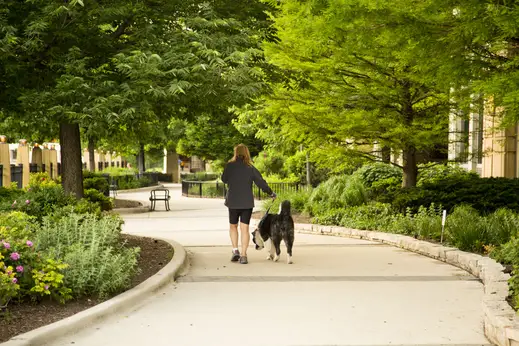 Woman walking dog by condos on Chicago River bank in River North Chicago