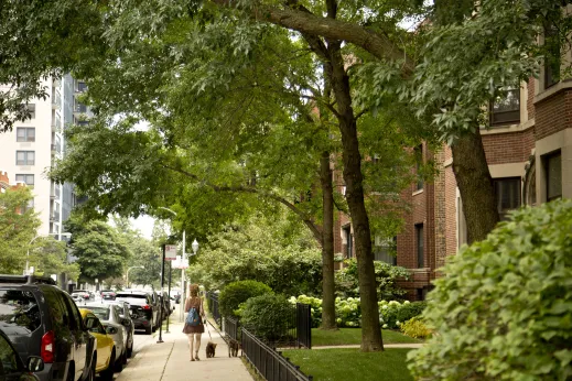 Woman walking dogs in front of apartments in Buena Park Chicago