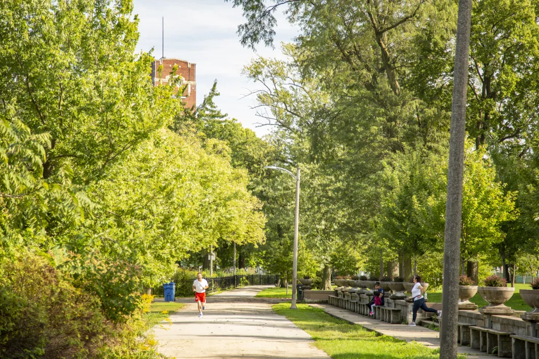 man running on trail in park surrounded by large trees and bright green grass in West Englewood Chicago