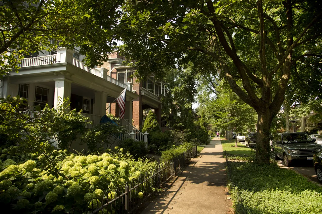 Green lawns, gardens, and cars parked on shady street in Lakewood Balmoral