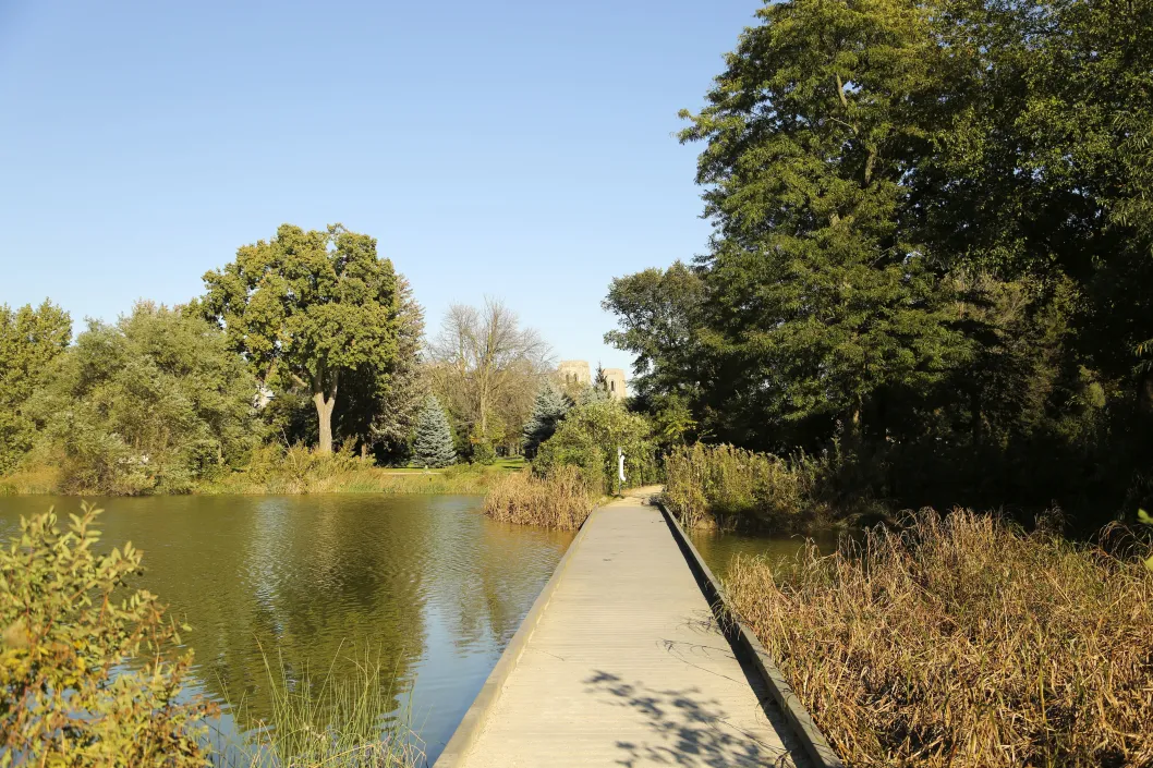 Nature boardwalk by lagoon in Washington Park Chicago