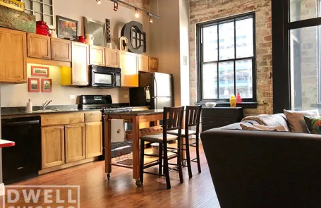 1 Bedroom Chicago Loop Apartment