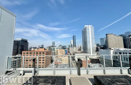 2 Bedroom West Loop Apartment