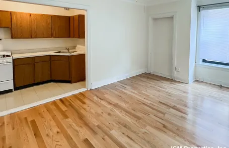 Studio Lakeview Apartment