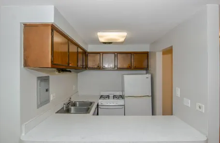 Studio Lincoln Park Apartment