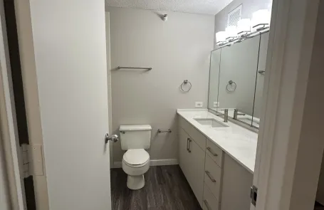 1 Bedroom Lakeshore East Apartment