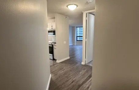 1 Bedroom Lakeshore East Apartment