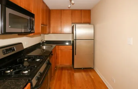 1 Bedroom Lincoln Park Apartment