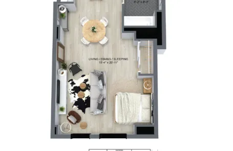 Studio Chicago Loop Apartment