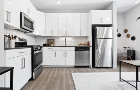 1 Bedroom Chicago Loop Apartment