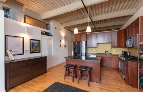 2 Bedroom Bronzeville Apartment