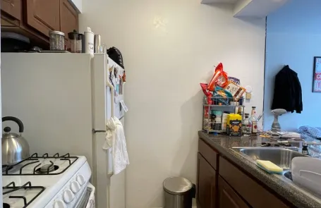 Studio Lakeview Apartment