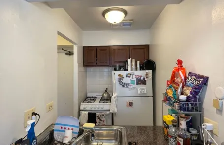 Studio Lakeview Apartment