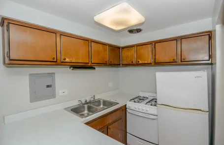 Studio Lincoln Park Apartment