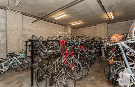2 Bedroom West Loop Apartment