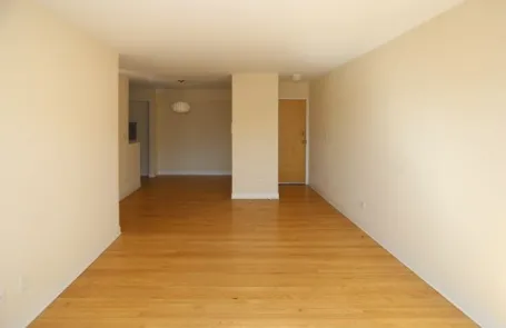 1 Bedroom Lincoln Park Apartment