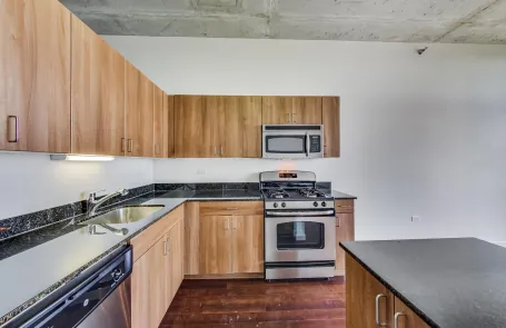 2 Bedroom Chicago Loop Apartment