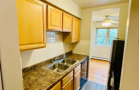 1 Bedroom Lakeview Apartment