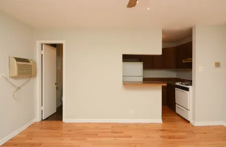 Studio Lakeview Apartment