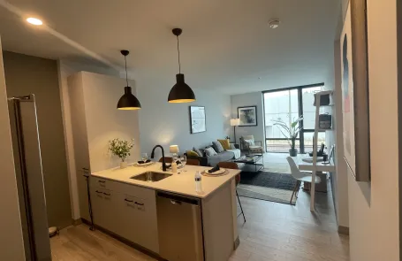 1 bedroom Lincoln Park Apartment