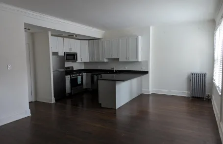 1 Bedroom Lakeview Apartment