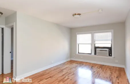 1 Bedroom Lincoln Park Apartment