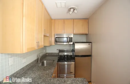 Studio Lincoln Park Apartment