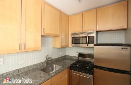 Studio Lincoln Park Apartment