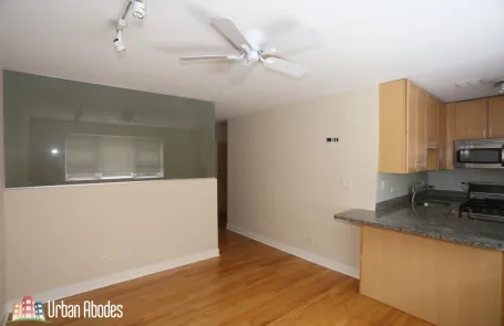Studio Lincoln Park Apartment