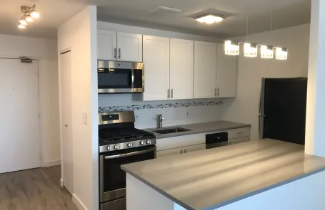 Studio Lincoln Park Apartment