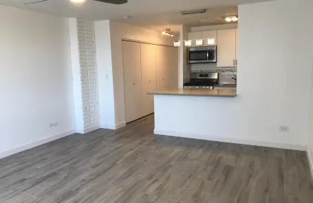 Studio Lincoln Park Apartment