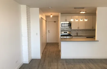 Studio Lincoln Park Apartment